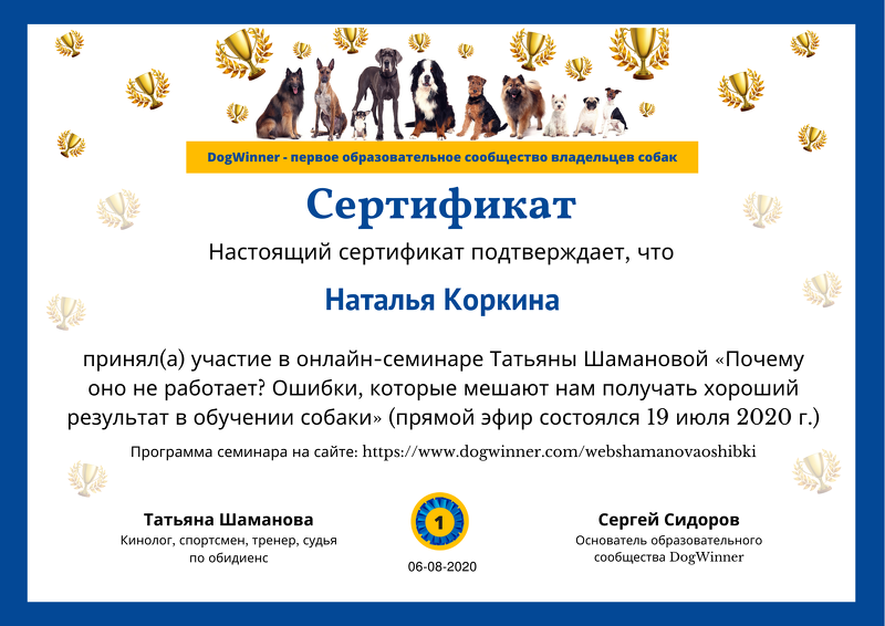  Почему оно не работает.png